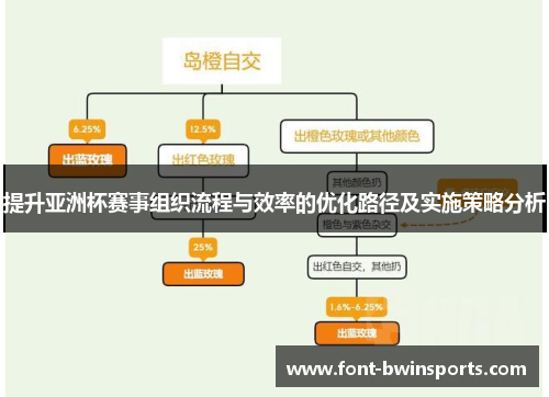 提升亚洲杯赛事组织流程与效率的优化路径及实施策略分析