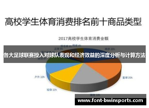 各大足球联赛投入对球队表现和经济效益的深度分析与计算方法